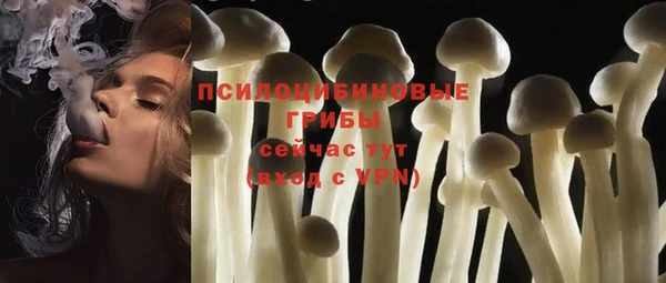 ALPHA PVP Баксан