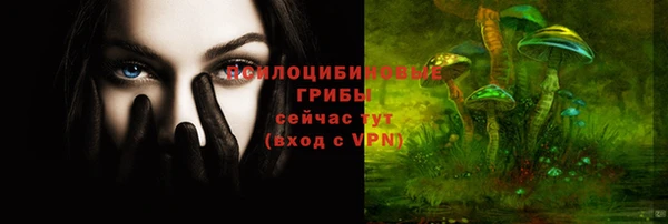 ALPHA PVP Баксан
