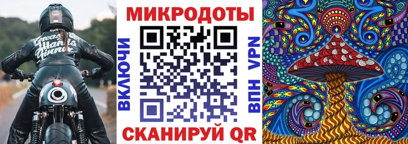 Галлюциногенные грибы Psilocybe дарк нет наркотические препараты Белорецк